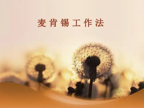 麦肯锡工作法 