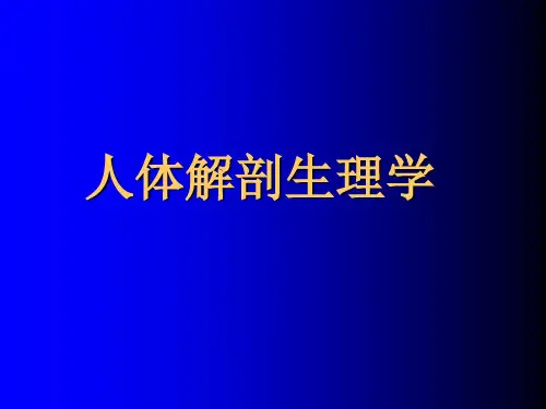 人体解剖生理学(全套课件559P)