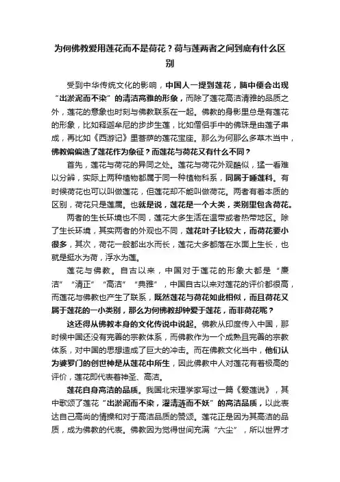 为何佛教爱用莲花而不是荷花？荷与莲两者之间到底有什么区别