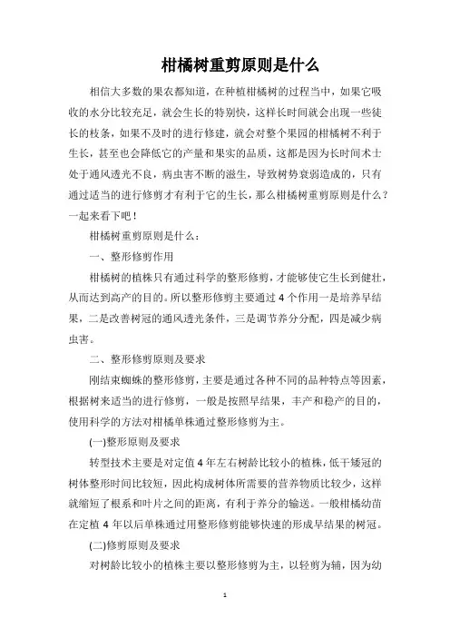 柑橘树重剪原则是什么