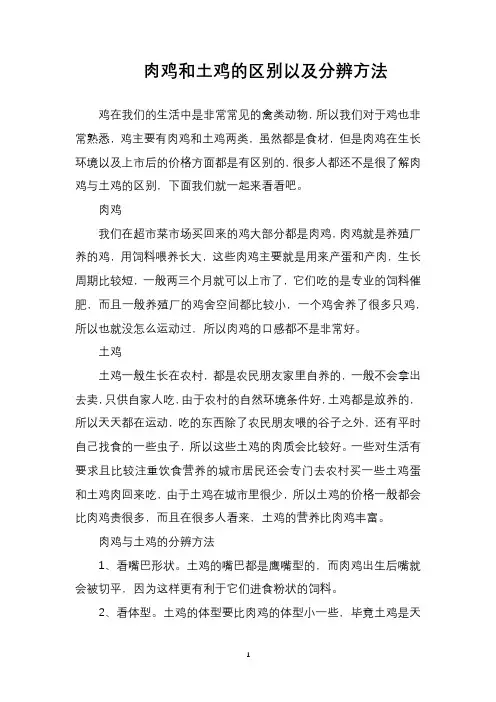 肉鸡和土鸡的区别以及分辨方法