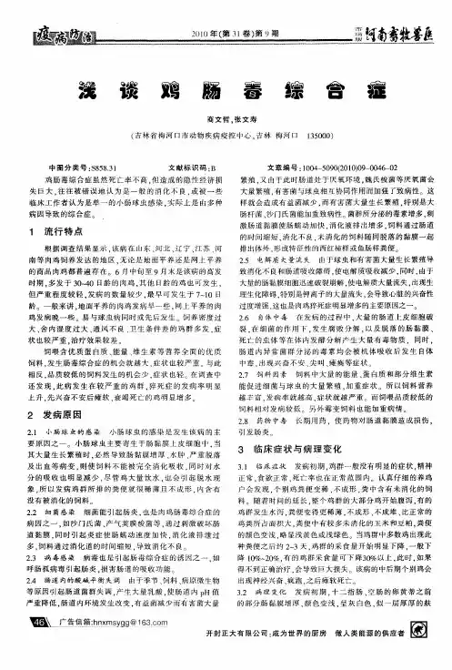浅谈鸡肠毒综合症
