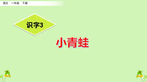 《小青蛙》优秀PPT——部编版小青蛙PPT优秀课件24