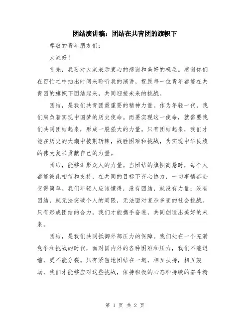 团结演讲稿：团结在共青团的旗帜下
