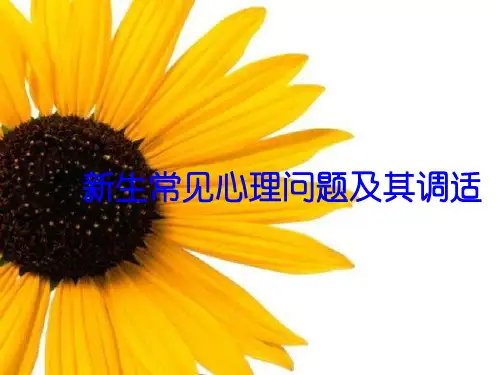 大学新生常见心理问题及其调适 ppt课件
