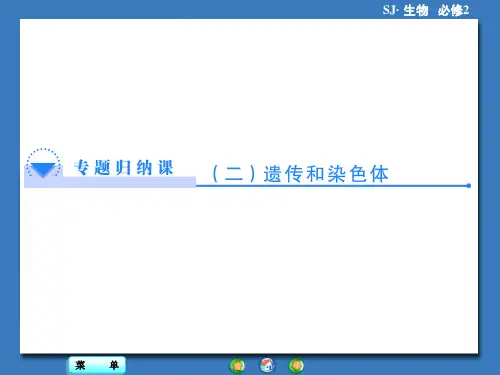高中生物(苏教版)必修2课件：专题归纳课2遗传和染色体(共48张PPT)