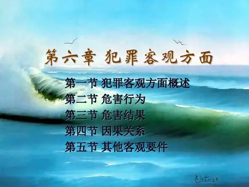 第6章 犯罪客观方面