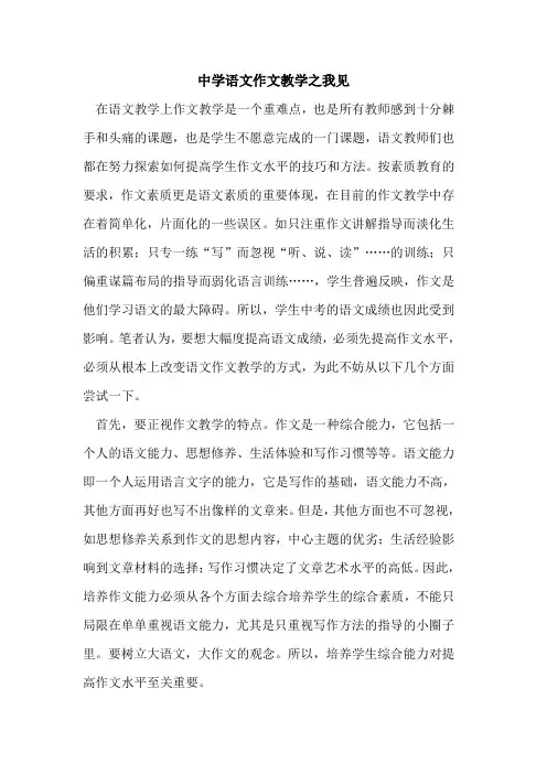 中学语文作文教学之我见