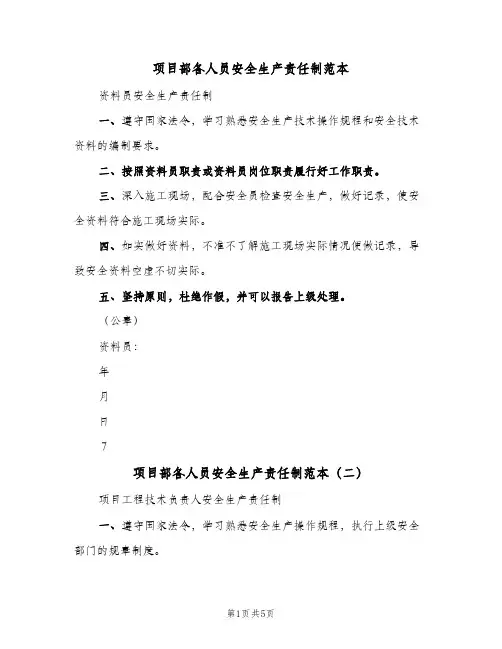 项目部各人员安全生产责任制范本(五篇)