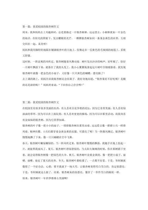 小学语文作文范文：我爱校园的银杏树(5篇)