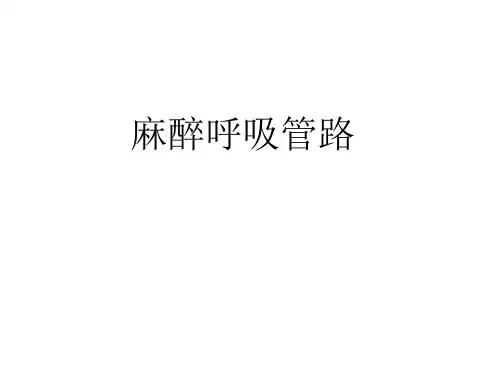 麻醉呼吸管路介绍