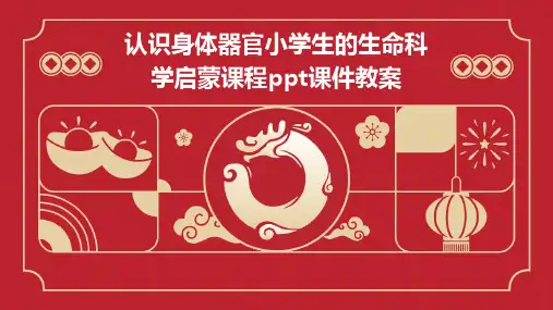 认识身体器官小学生的生命科学启蒙课程ppt课件教案