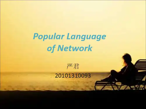 网络流行语 英语ppt