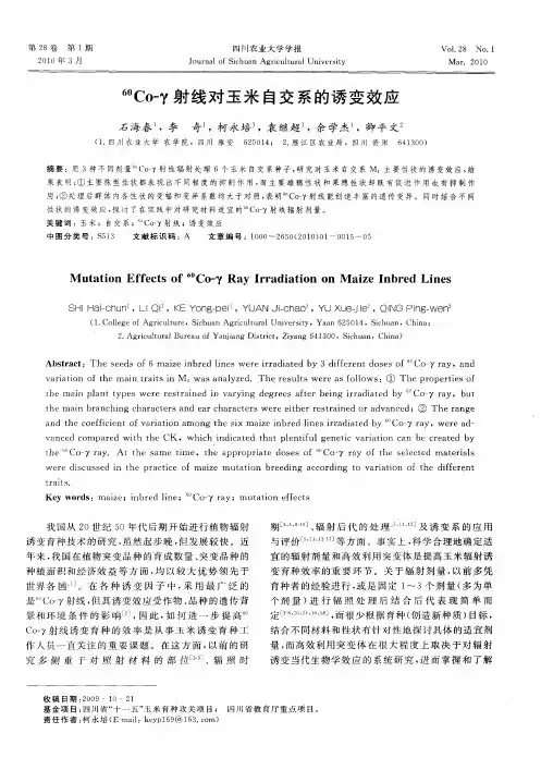60Co-γ射线对玉米自交系的诱变效应