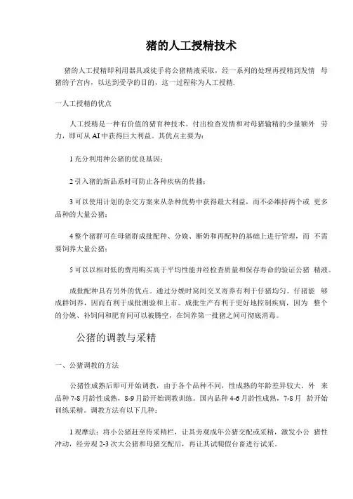 猪的人工授精技术