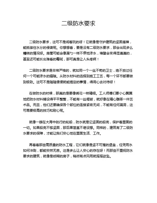 二级防水要求