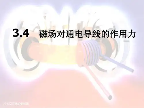 通电导线在磁场中受到的力