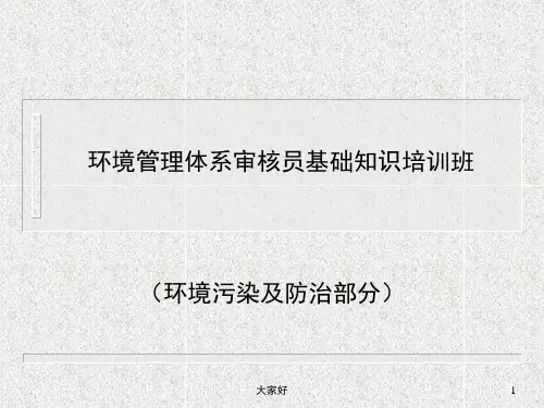 环境污染及防治 PPT
