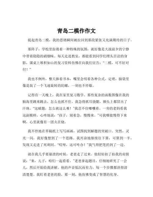青岛二模作作文