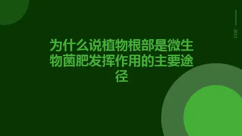 为什么说植物根部是微生物菌肥发挥作用的主要途