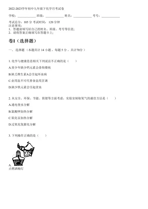 2022-2023学年人教版九年级下化学月考试卷(含解析)