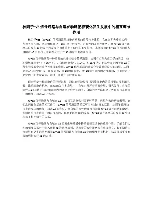 核因子-kB信号通路与自噬在动脉粥样硬化发生发展中的相互调节作用