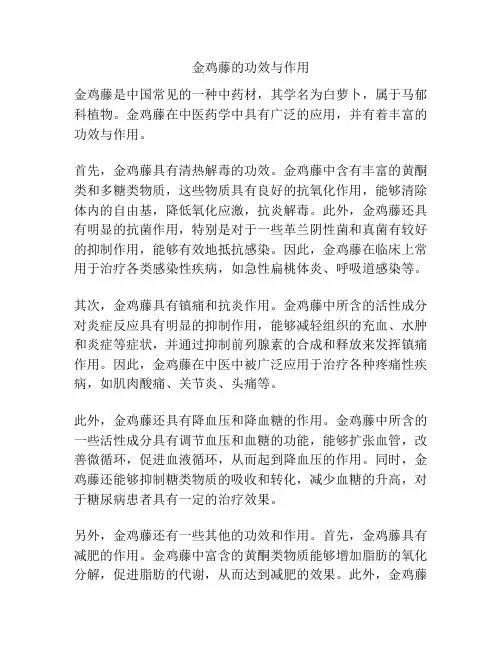 金鸡藤的功效与作用
