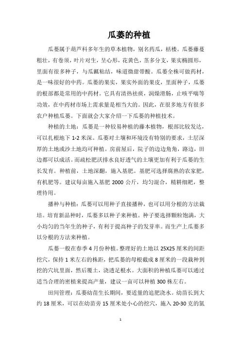瓜蒌的种植
