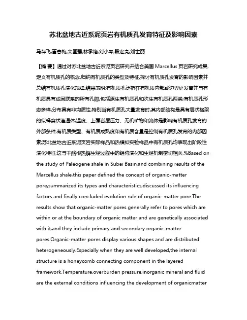 苏北盆地古近系泥页岩有机质孔发育特征及影响因素