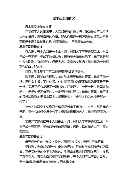 原来我没懂作文4篇