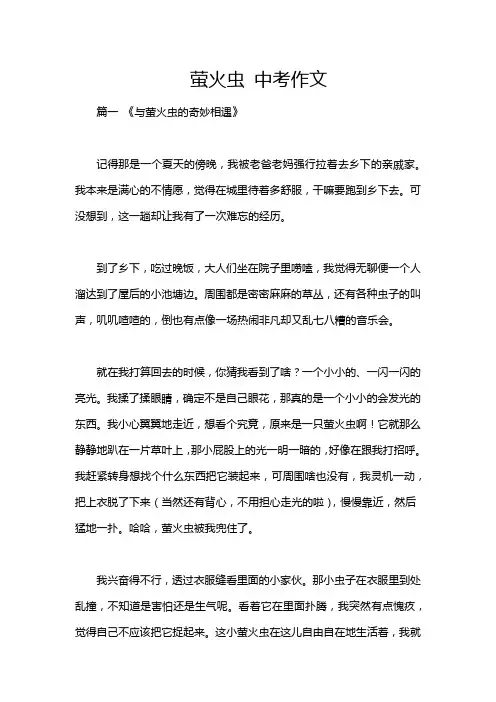 萤火虫 中考作文