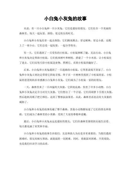 小白兔小灰兔的故事
