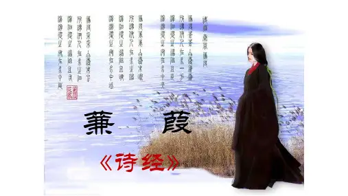 第12课《诗经二首——蒹葭》课件(共19张PPT) 部编版语文八年级下册
