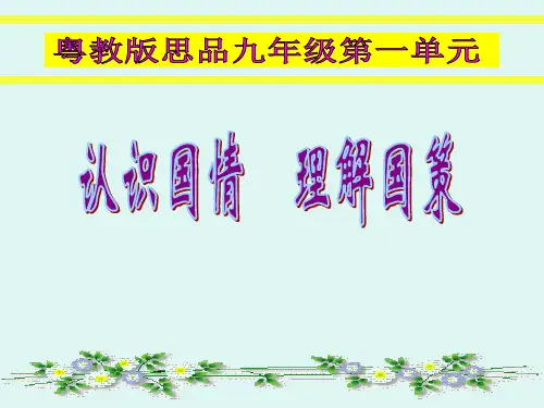 我国正处于社会主义初级阶段.ppt上课用的课件