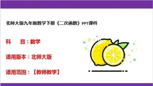 北师大版九年级数学下册《二次函数》PPT课件