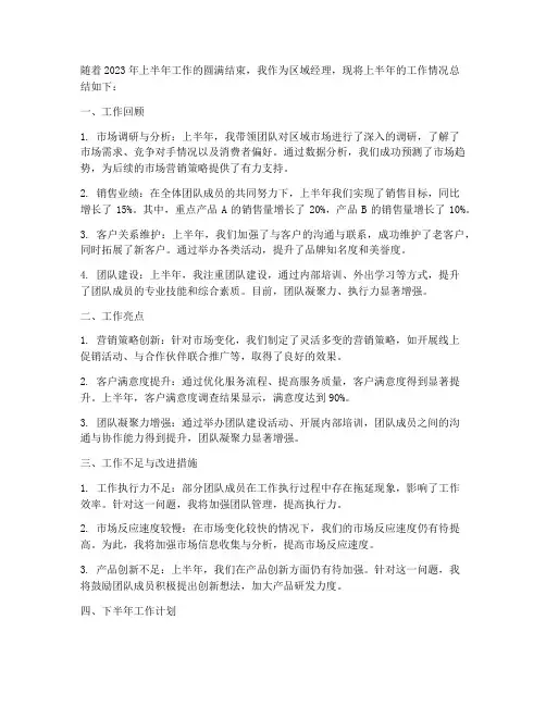 区域经理半年度工作总结