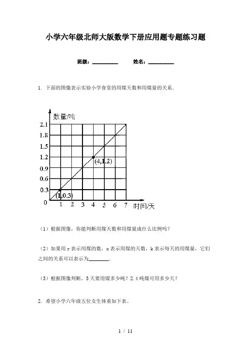 小学六年级北师大版数学下册应用题专题练习题