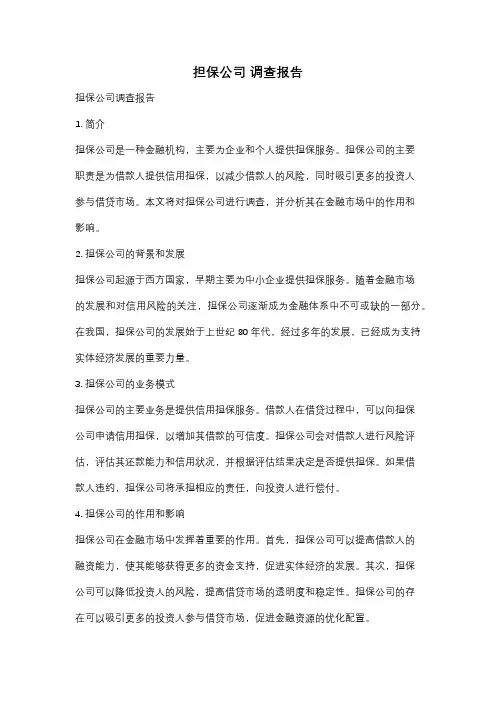 担保公司 调查报告