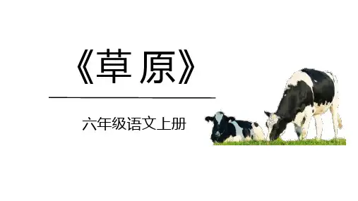 《草原》ppt课件
