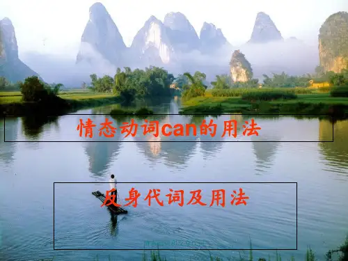 情态动词和反身代词 ppt课件