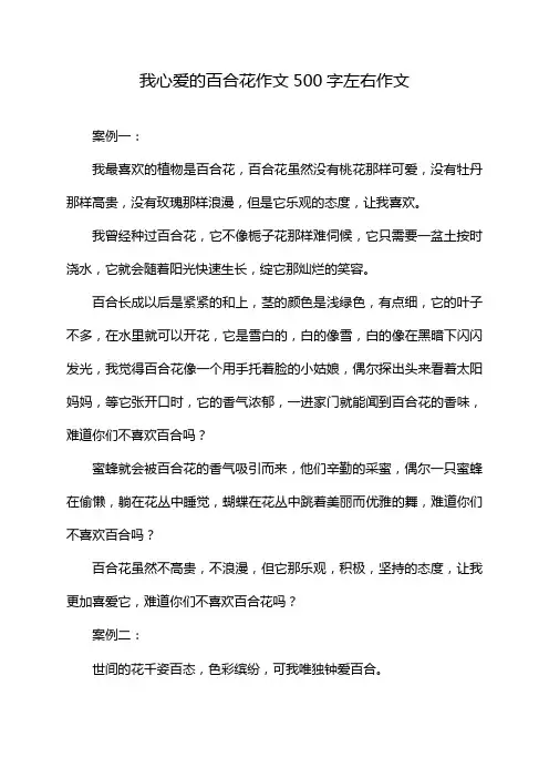 我心爱的百合花作文500字左右作文