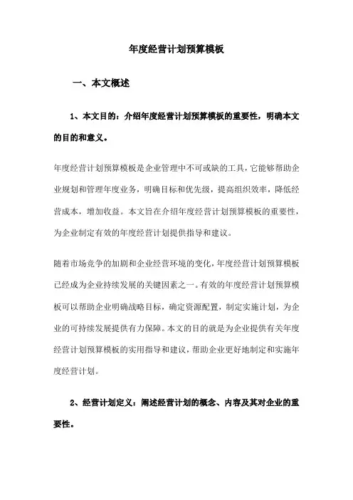 年度经营计划预算模板