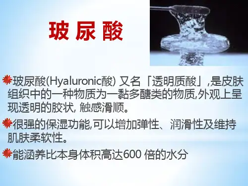 玻尿酸课件