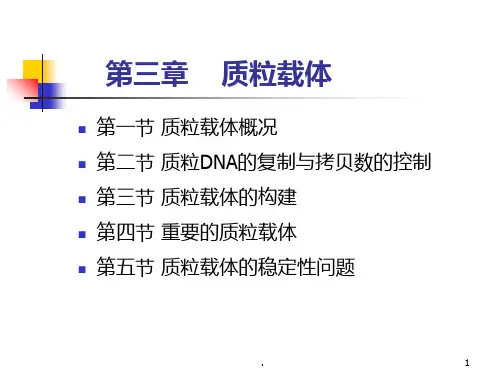 第三章__质粒载体