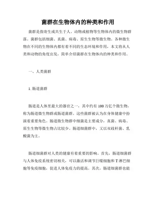 菌群在生物体内的种类和作用