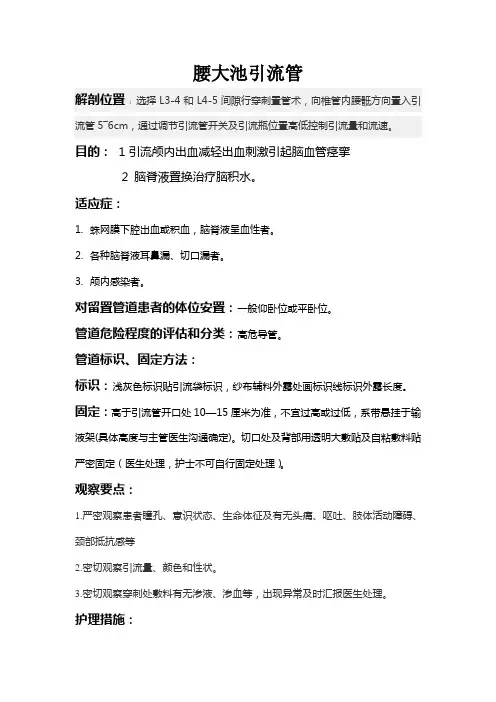 腰大池引流管