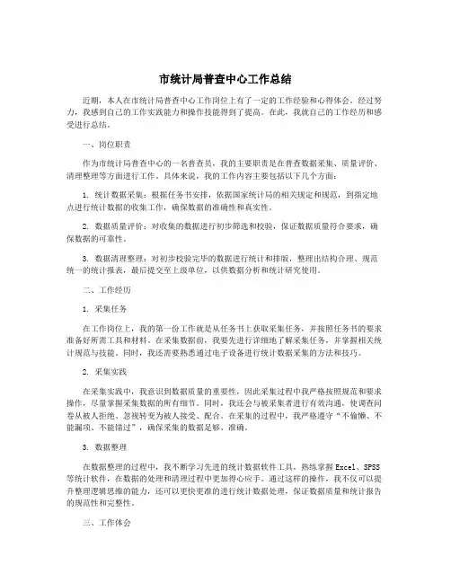 市统计局普查中心工作总结