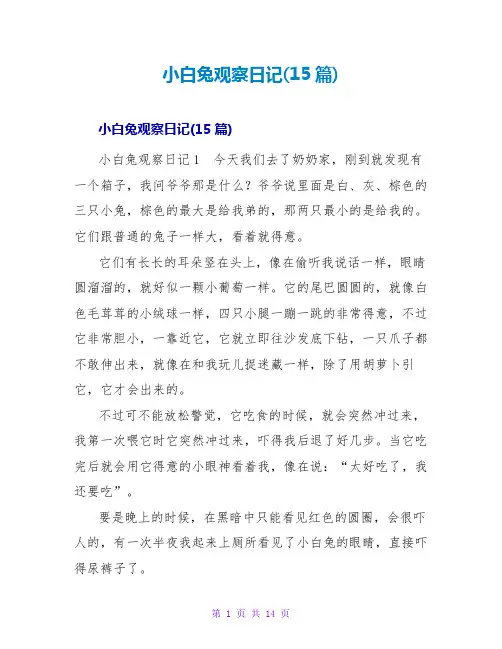 小白兔观察日记(15篇)