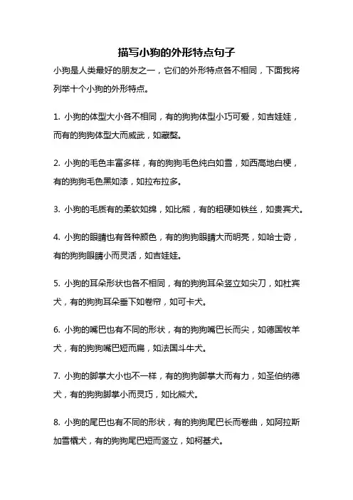 描写小狗的外形特点句子