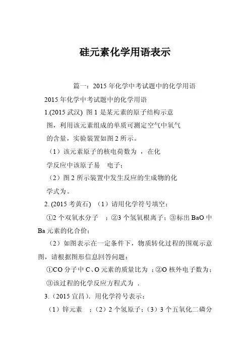 硅元素化学用语表示